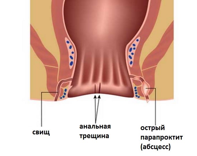 453.jpg 453.jpg